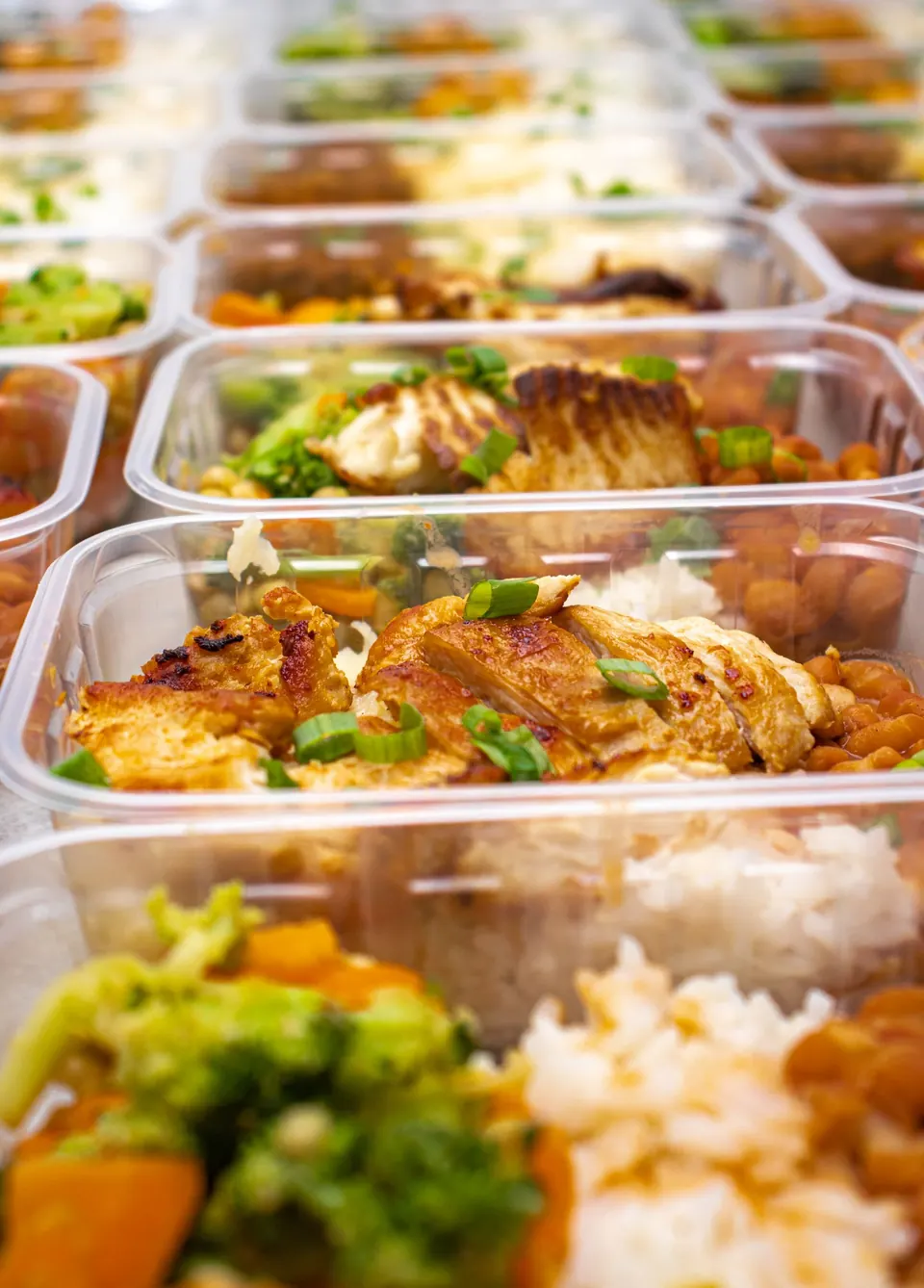 Recipientes con comida preparada